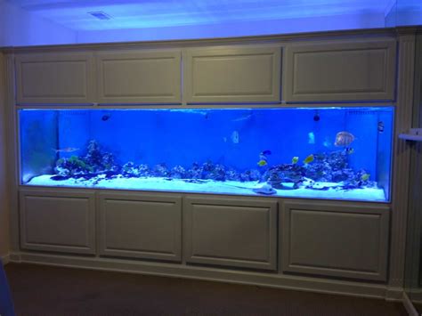 fish tanks near me|Aquariums, Fish Tanks & Bowls for Sale .